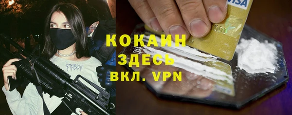 прущие грибы Абаза